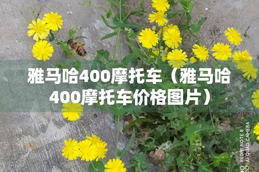 雅马哈400摩托车（雅马哈400摩托车价格图片）