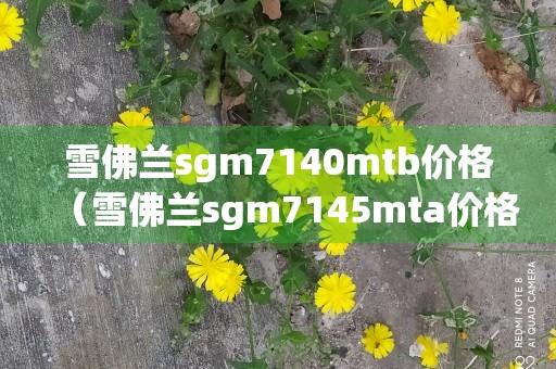 雪佛兰sgm7140mtb价格（雪佛兰sgm7145mta价格）