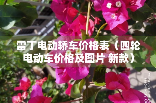 雷丁电动轿车价格表（四轮电动车价格及图片 新款）