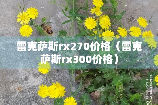 雷克萨斯rx270价格（雷克萨斯rx300价格）