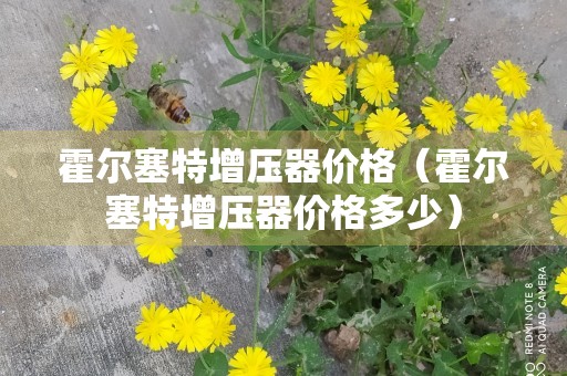 霍尔塞特增压器价格（霍尔塞特增压器价格多少）