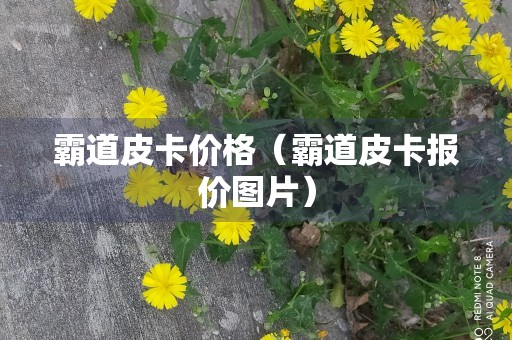 霸道皮卡价格（霸道皮卡报价图片）