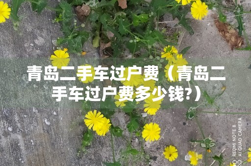 青岛二手车过户费（青岛二手车过户费多少钱?）