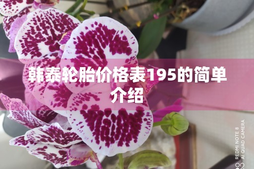 韩泰轮胎价格表195的简单介绍