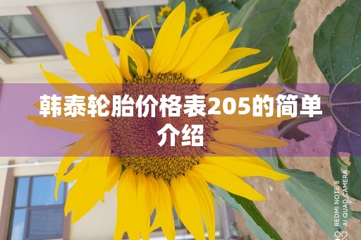 韩泰轮胎价格表205的简单介绍