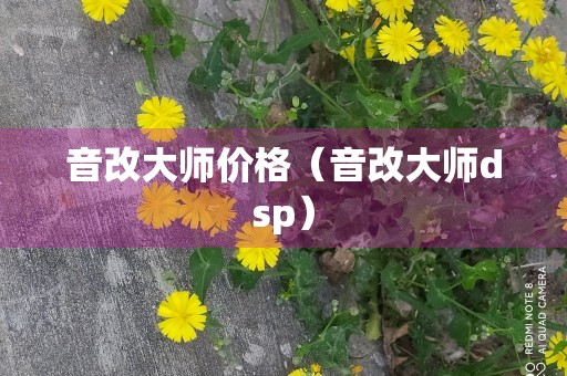 音改大师价格（音改大师dsp）