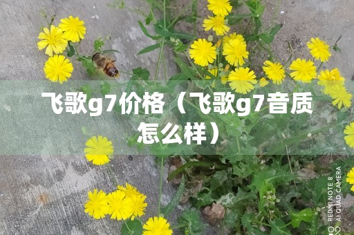 飞歌g7价格（飞歌g7音质怎么样）