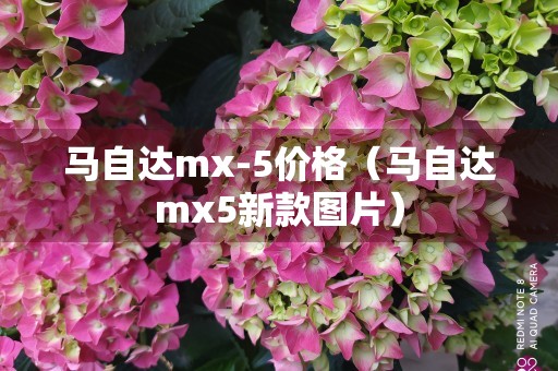 马自达mx-5价格（马自达mx5新款图片）