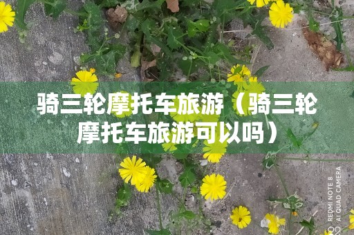 骑三轮摩托车旅游（骑三轮摩托车旅游可以吗）