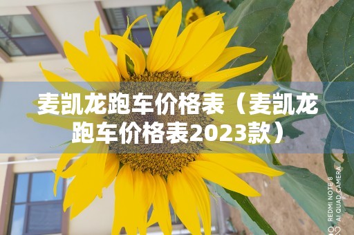 麦凯龙跑车价格表（麦凯龙跑车价格表2023款）