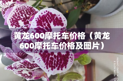 黄龙600摩托车价格（黄龙600摩托车价格及图片）