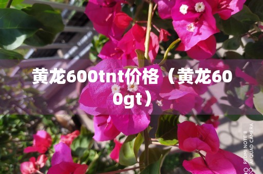 黄龙600tnt价格（黄龙600gt）