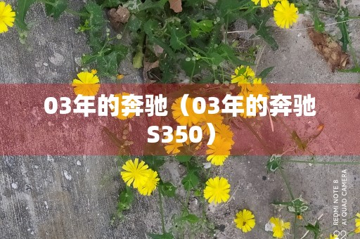 03年的奔驰（03年的奔驰S350）