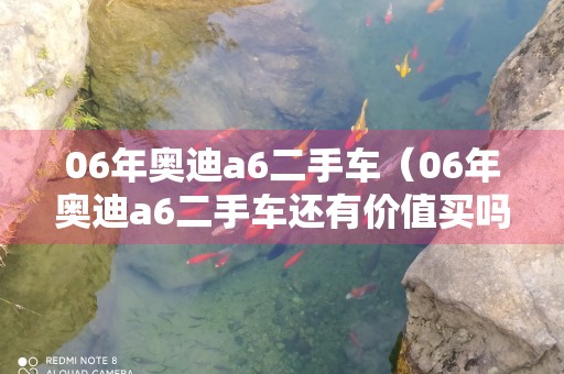 06年奥迪a6二手车（06年奥迪a6二手车还有价值买吗）