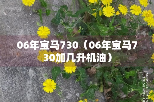 06年宝马730（06年宝马730加几升机油）