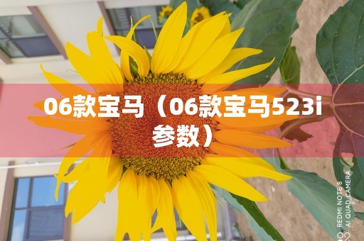 06款宝马（06款宝马523i参数）