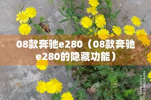 08款奔驰e280（08款奔驰e280的隐藏功能）