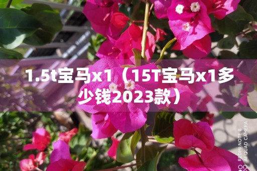 1.5t宝马x1（15T宝马x1多少钱2023款）