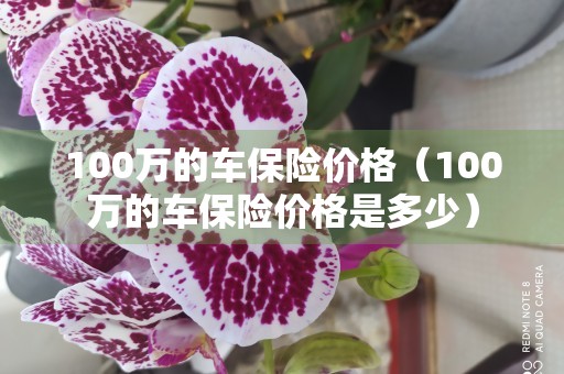 100万的车保险价格（100万的车保险价格是多少）