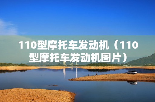 110型摩托车发动机（110型摩托车发动机图片）