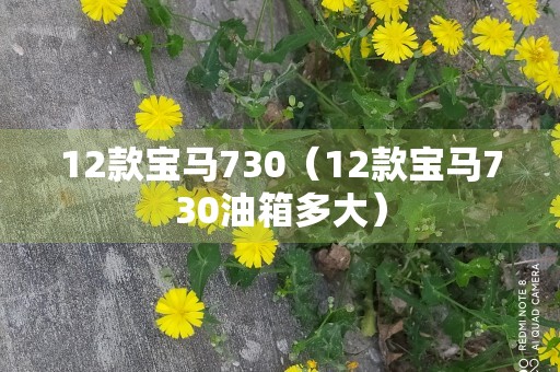 12款宝马730（12款宝马730油箱多大）