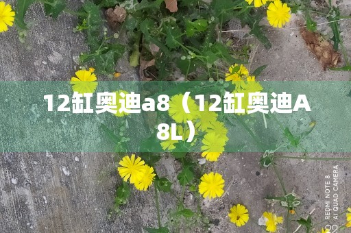 12缸奥迪a8（12缸奥迪A8L）