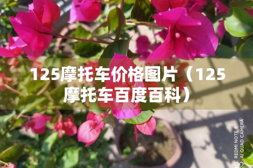 125摩托车价格图片（125摩托车百度百科）