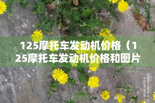 125摩托车发动机价格（125摩托车发动机价格和图片）