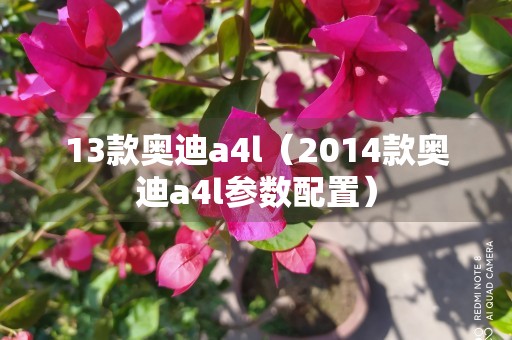 13款奥迪a4l（2014款奥迪a4l参数配置）