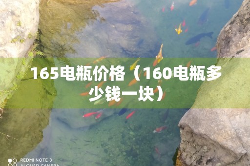 165电瓶价格（160电瓶多少钱一块）