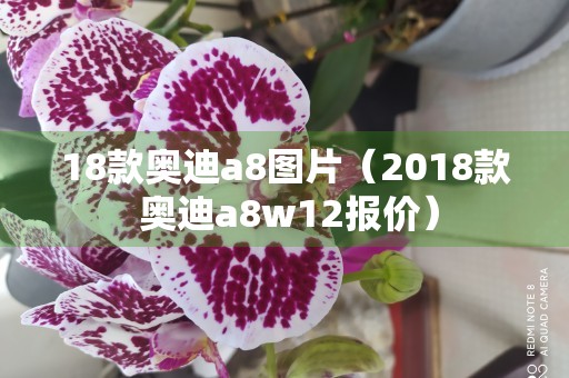 18款奥迪a8图片（2018款 奥迪a8w12报价）