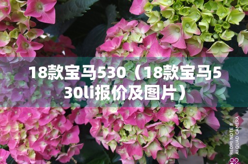 18款宝马530（18款宝马530li报价及图片）