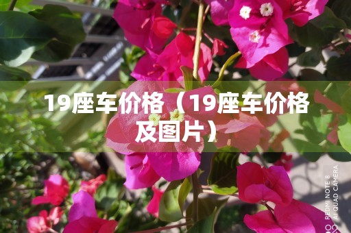 19座车价格（19座车价格及图片）