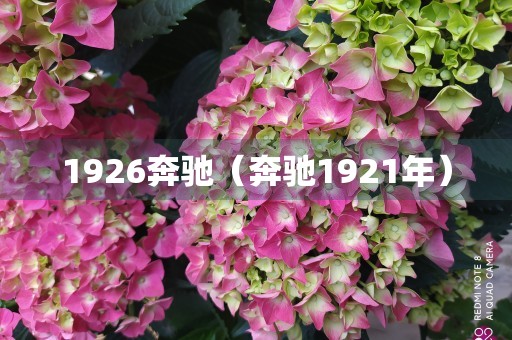 1926奔驰（奔驰1921年）