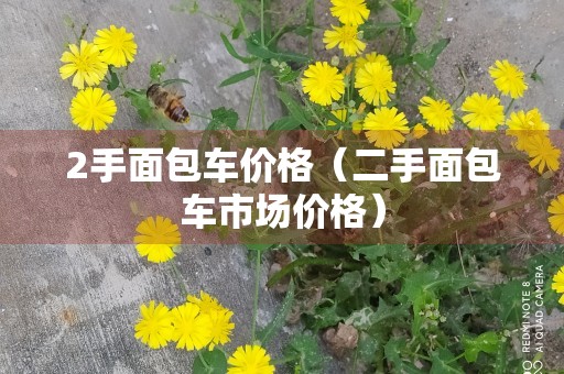 2手面包车价格（二手面包车市场价格）