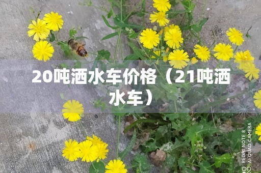 20吨洒水车价格（21吨洒水车）