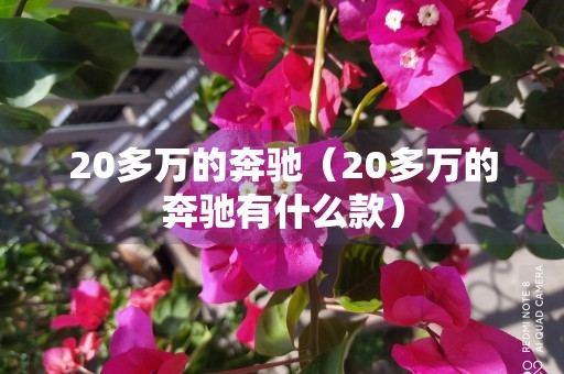 20多万的奔驰（20多万的奔驰有什么款）