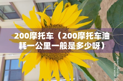 200摩托车（200摩托车油耗一公里一般是多少呀）