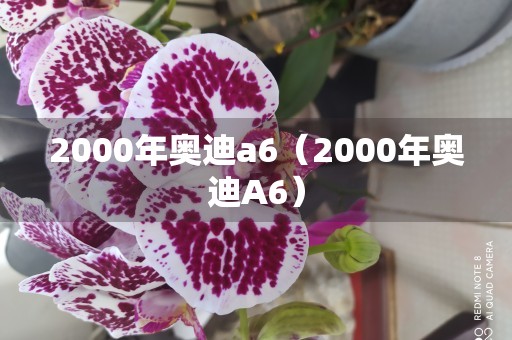 2000年奥迪a6（2000年奥迪A6）