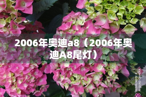 2006年奥迪a8（2006年奥迪A8尾灯）