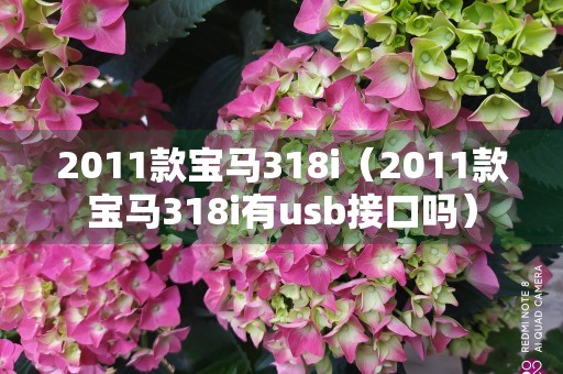 2011款宝马318i（2011款宝马318i有usb接口吗）