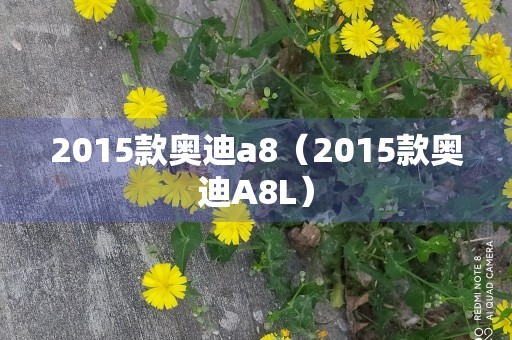 2015款奥迪a8（2015款奥迪A8L）