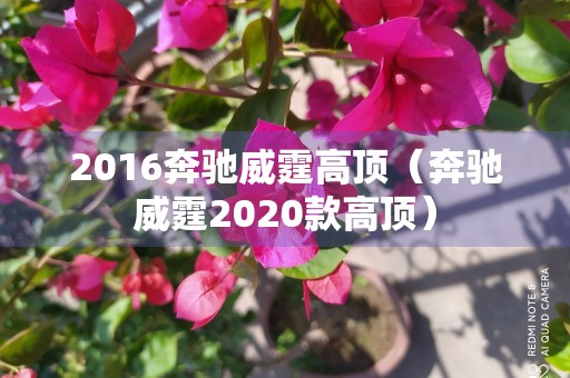 2016奔驰威霆高顶（奔驰威霆2020款高顶）