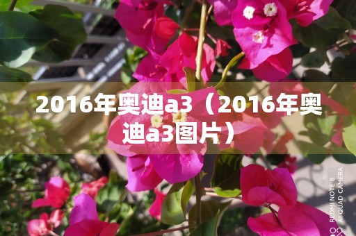 2016年奥迪a3（2016年奥迪a3图片）