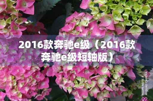 2016款奔驰e级（2016款奔驰e级短轴版）