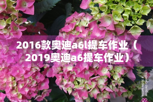 2016款奥迪a6l提车作业（2019奥迪a6提车作业）