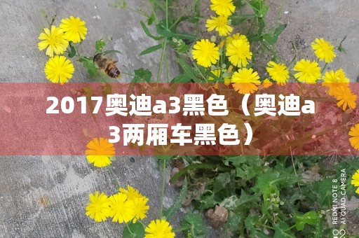 2017奥迪a3黑色（奥迪a3两厢车黑色）