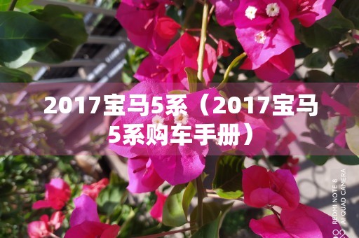 2017宝马5系（2017宝马5系购车手册）