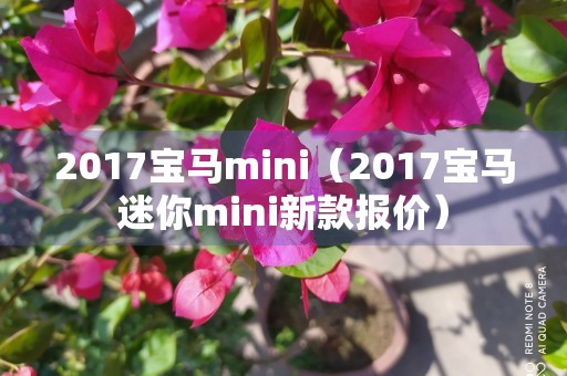 2017宝马mini（2017宝马迷你mini新款报价）