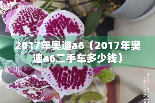 2017年奥迪a6（2017年奥迪a6二手车多少钱）